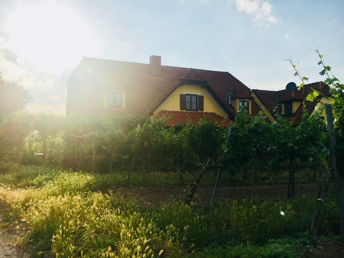 Hotel Landhaus Weinblick Rohrendorf bei Krems Exterior foto